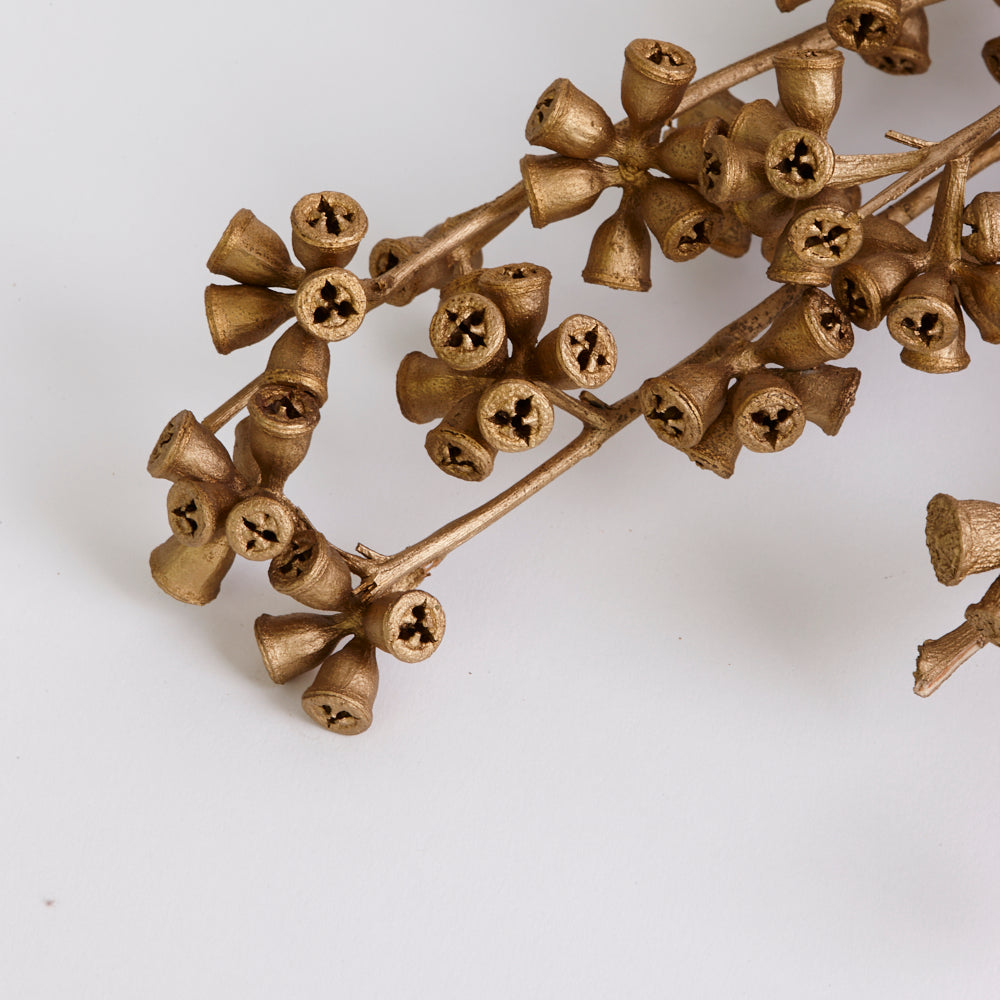 Eucalyptus Nuts, Dried, Gold, On Stem, Bunch