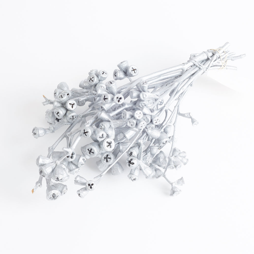 Eucalyptus Nuts, Dried, Silver, On Stem, Bunch