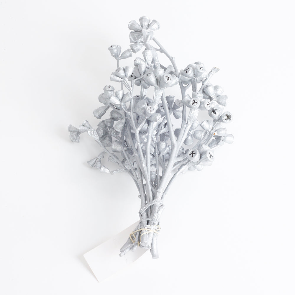 Eucalyptus Nuts, Dried, Silver, On Stem, Bunch