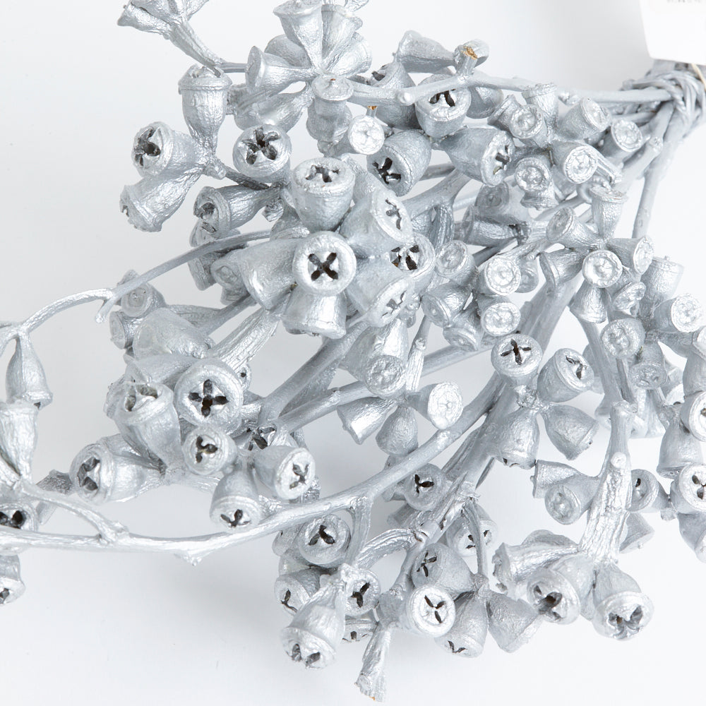 Eucalyptus Nuts, Dried, Silver, On Stem, Bunch