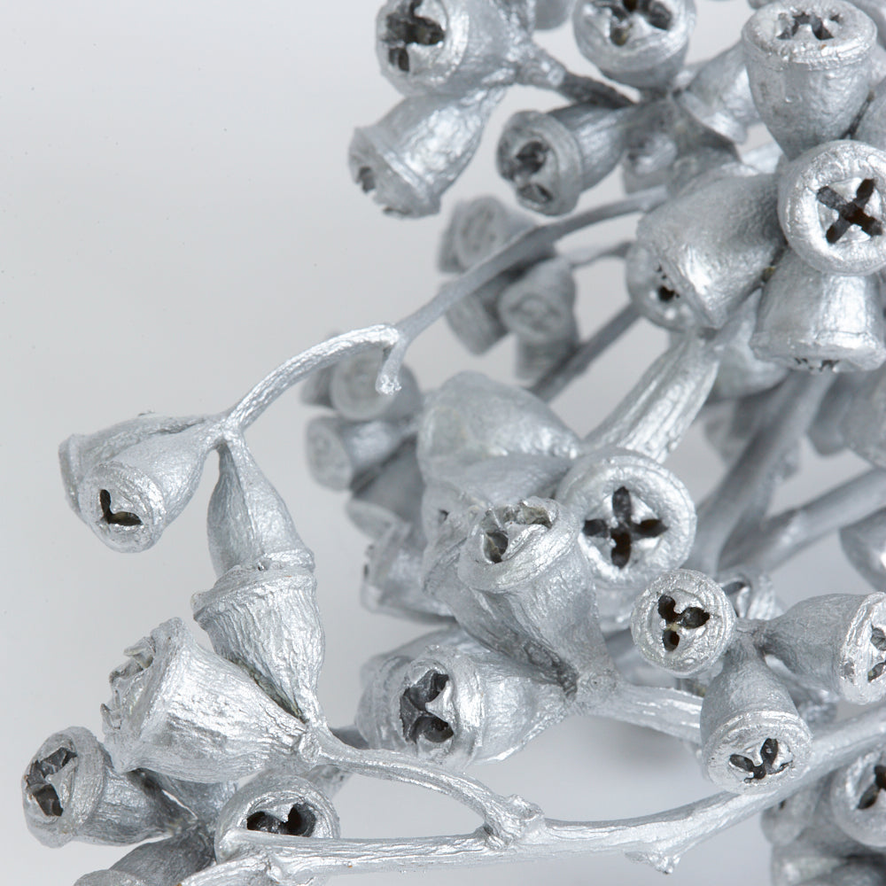 Eucalyptus Nuts, Dried, Silver, On Stem, Bunch