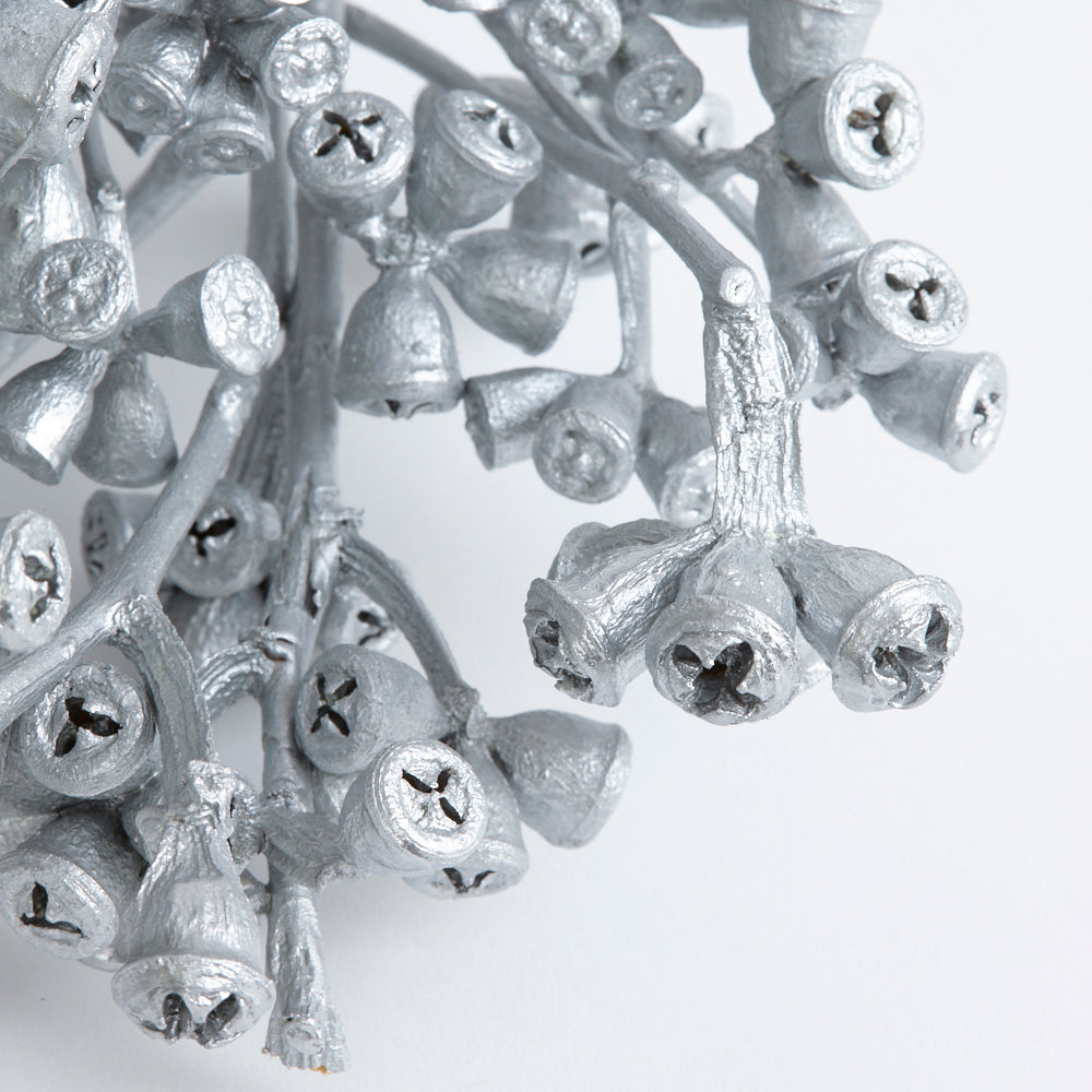 Eucalyptus Nuts, Dried, Silver, On Stem, Bunch