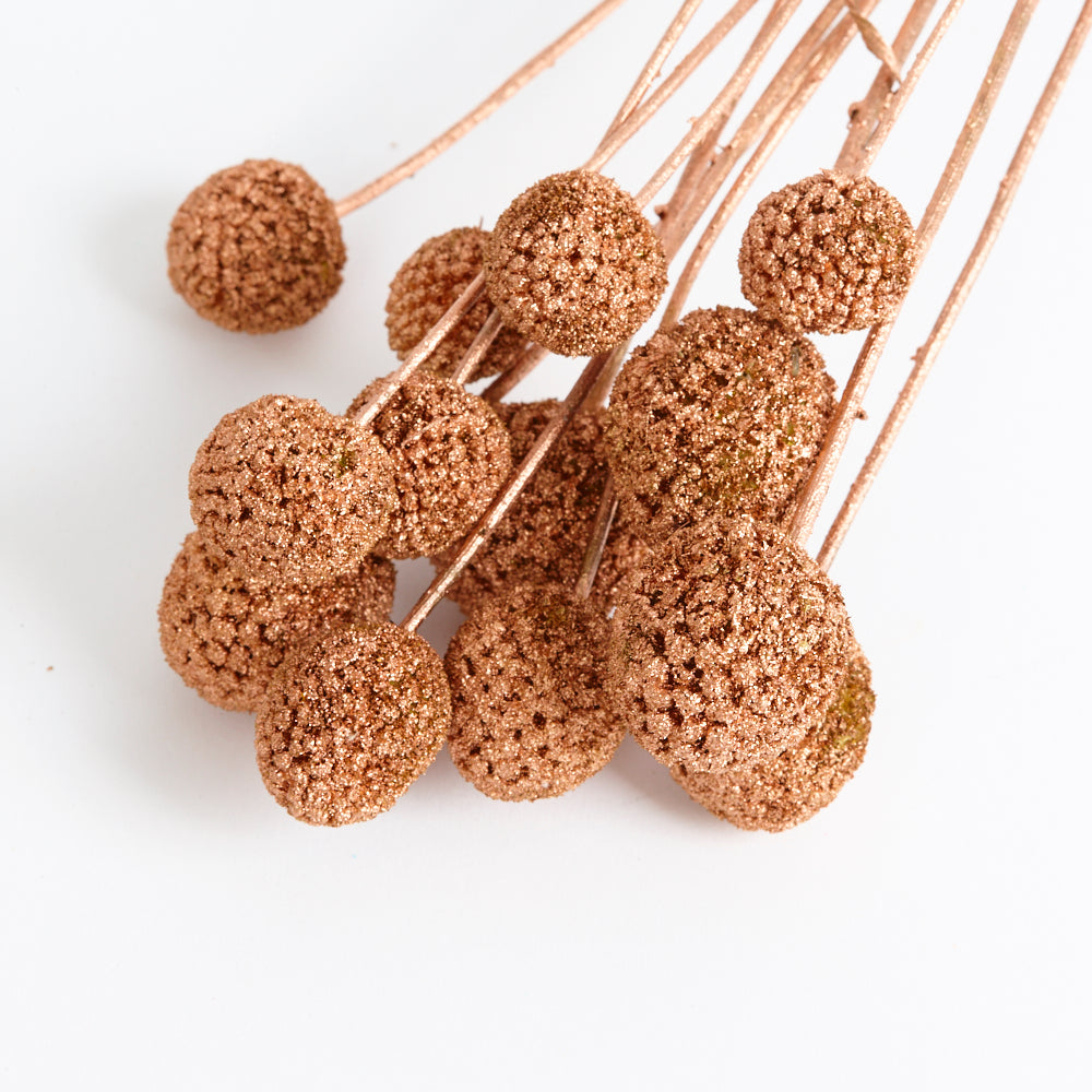 Craspedia, (billy buttons), Copper, Bunch x 10 stems