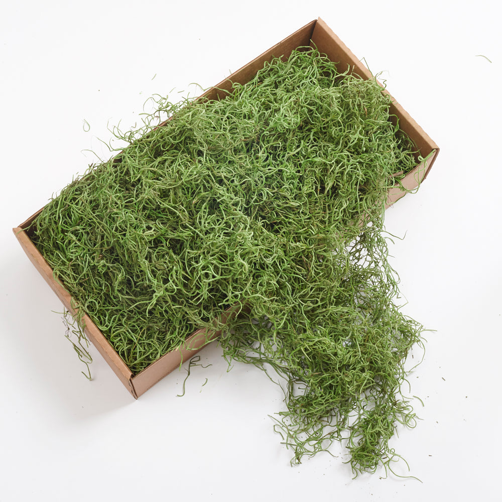 Tillandsia Moss, Preserved, Moss Green, 350g