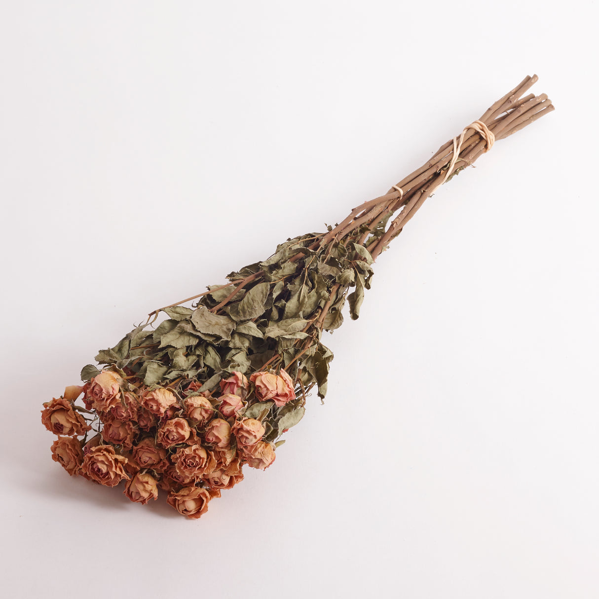 Spray Rose Lydia, Light Pink Flowers. This shows a bunch of dried spray roses with 10 stems in the bunch.