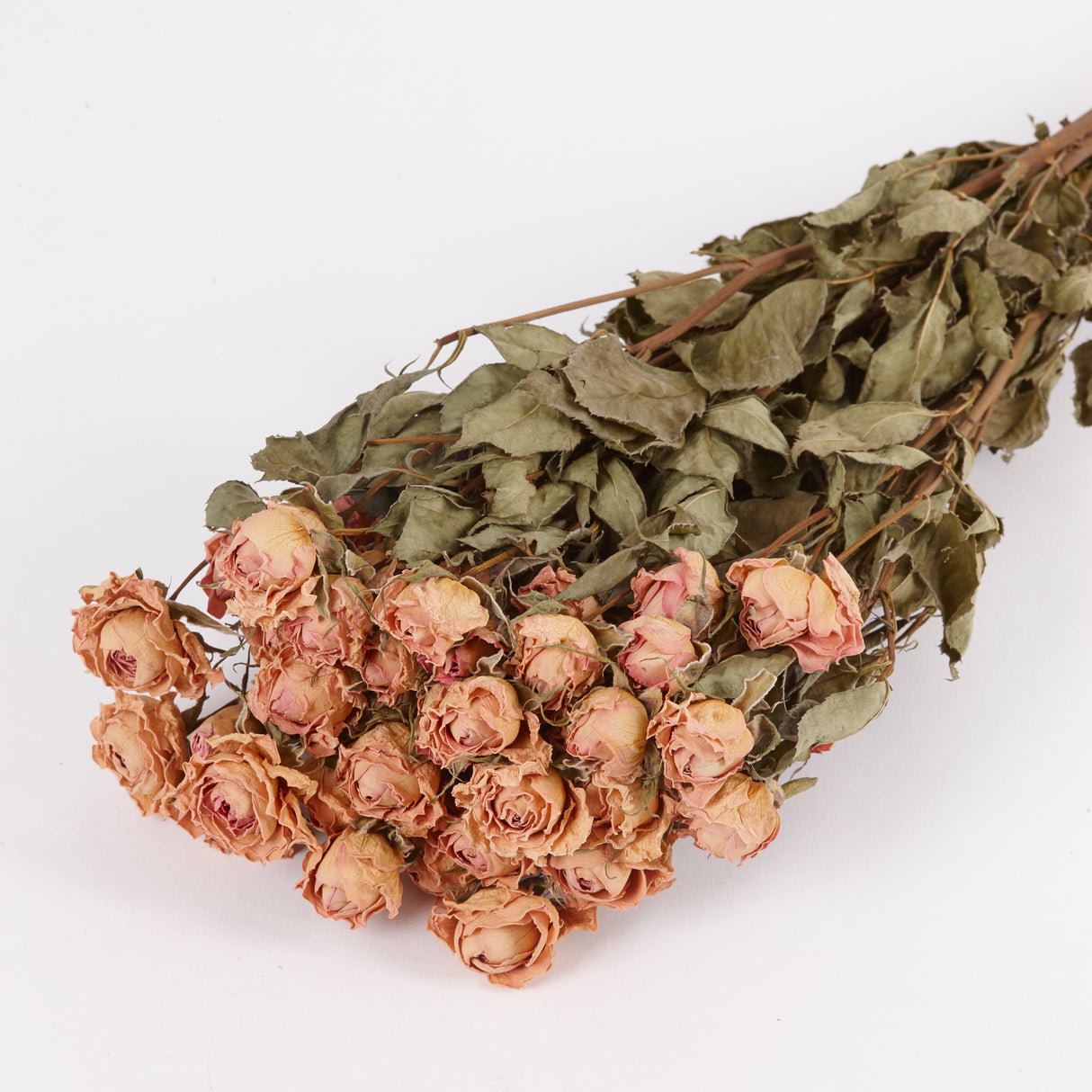 Roses, Spray, Dried, Lydia, Natural Light Pink, Bunch 10 Stems