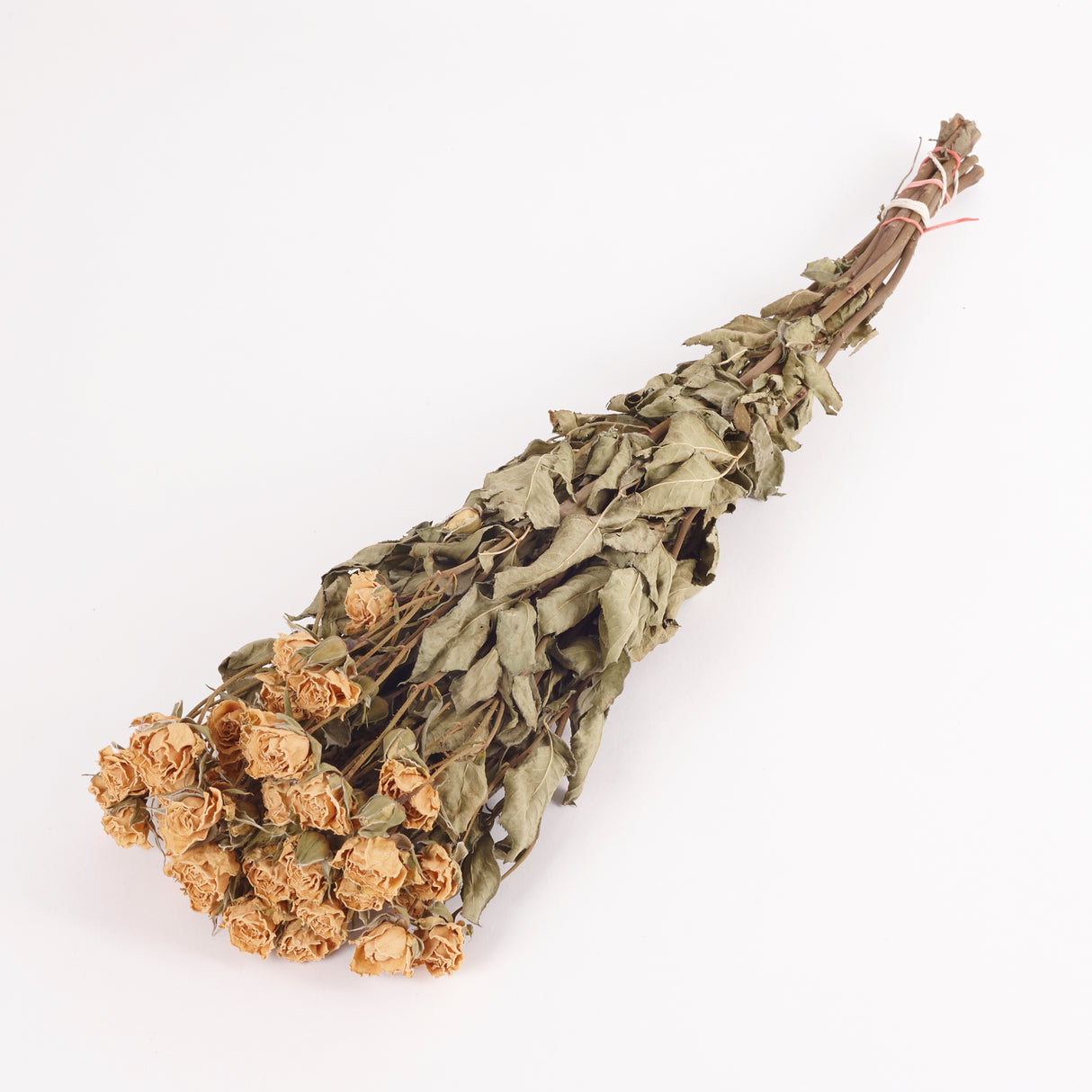 Dried Spray Roses, Snowflake, White in colour. Image shows a 10 stem bunch