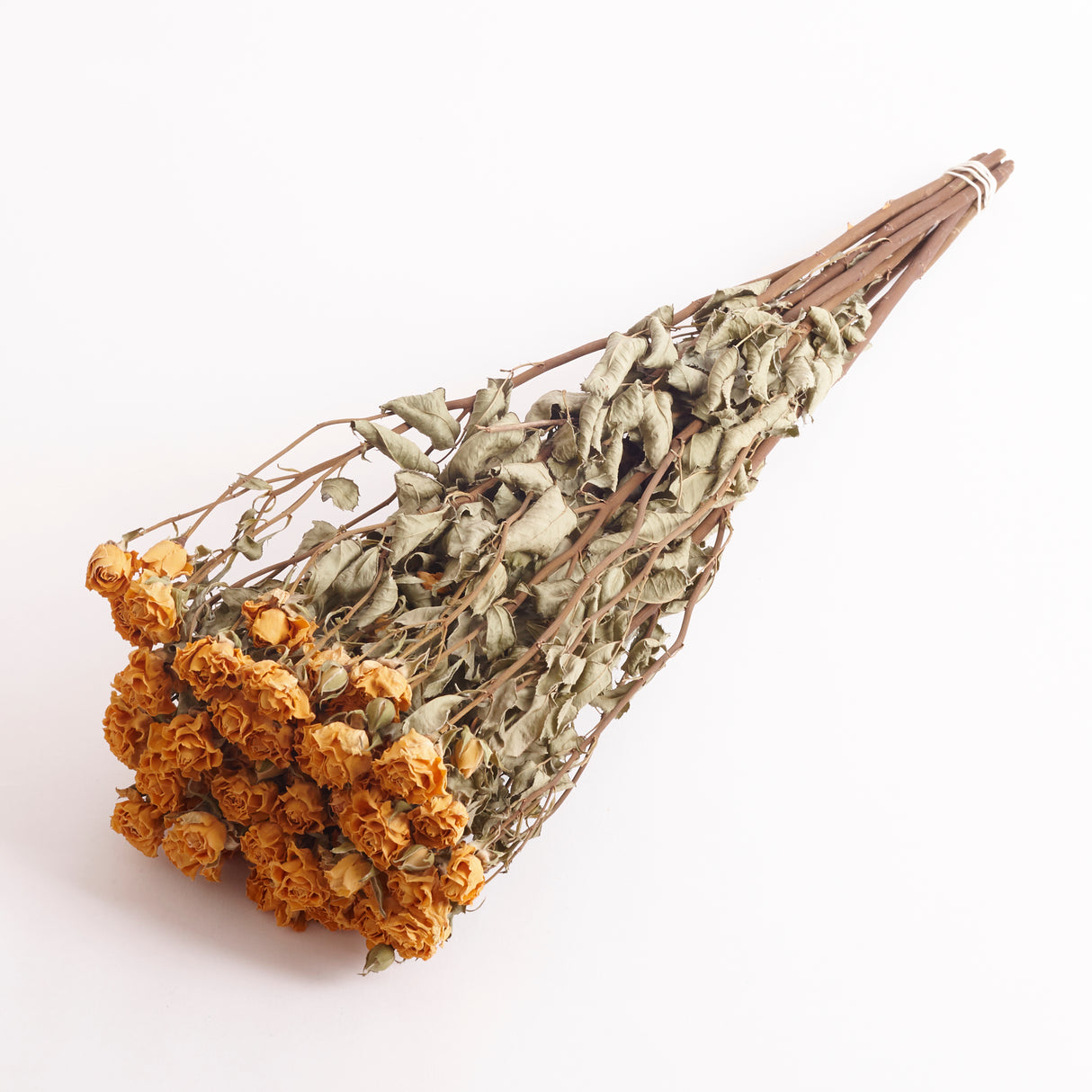 Dried Spray Roses Tarantella, yellow in colour. Image shows a bunch of 10 stems.