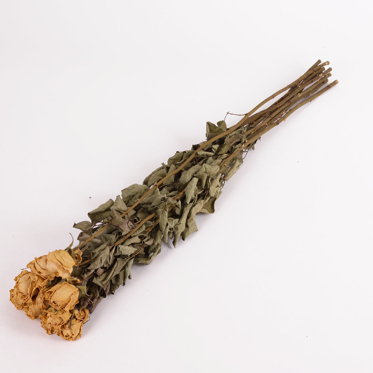 Dried Rose Yvonne with Peach flowers. Image shows a bunch of 10 stems.