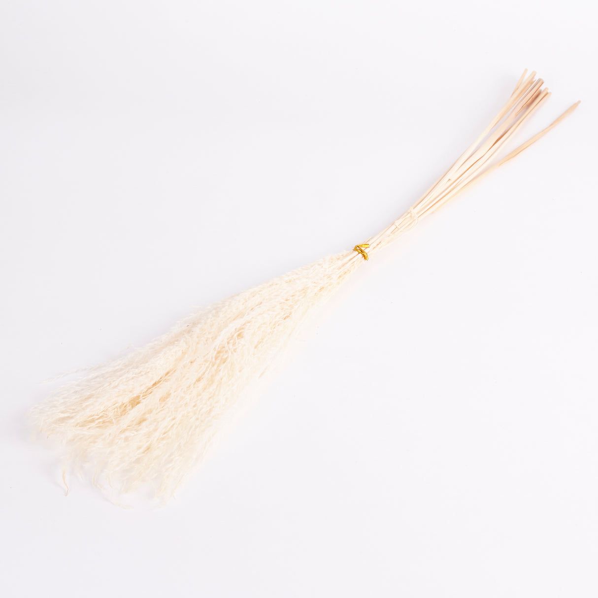 Image shows natural and bleached Miscanthus grass sold by the 10 stem bunch. Image shows a whole bunch.