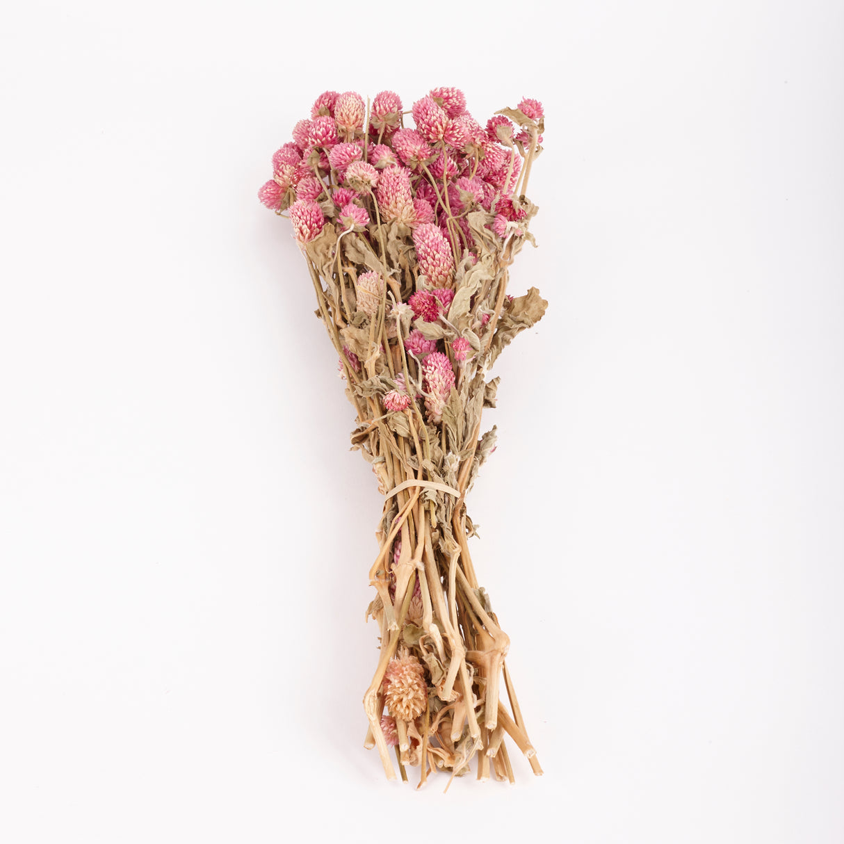 Gomphrena Flower, Natural Purple, Bunch