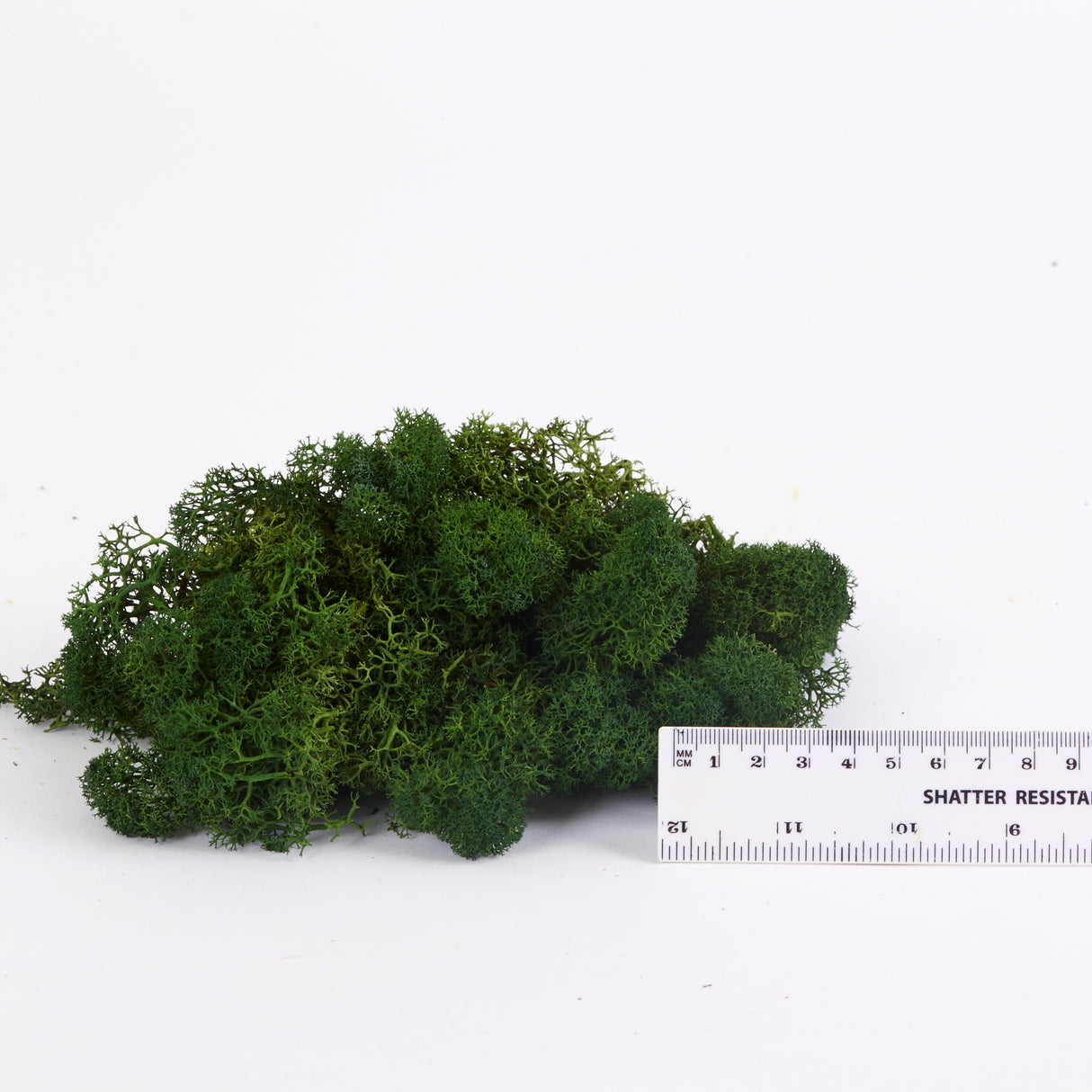 Reindeer Moss, Preserved, Forest Green, 1kg - Premium Quality
