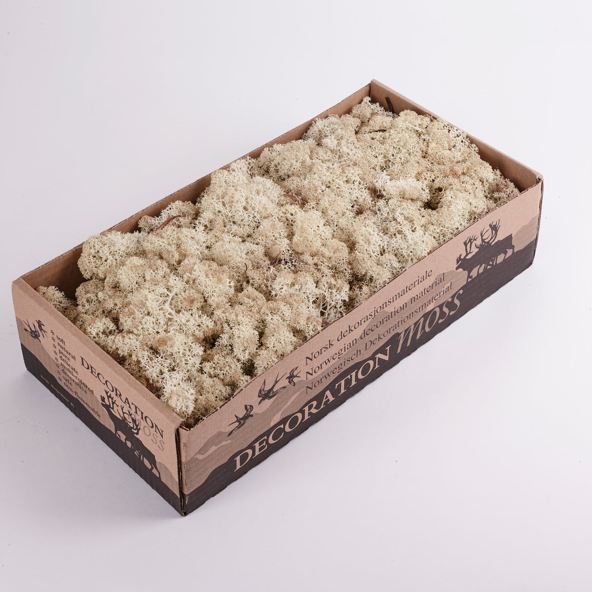 Reindeer Moss, Preserved, Misty White colour