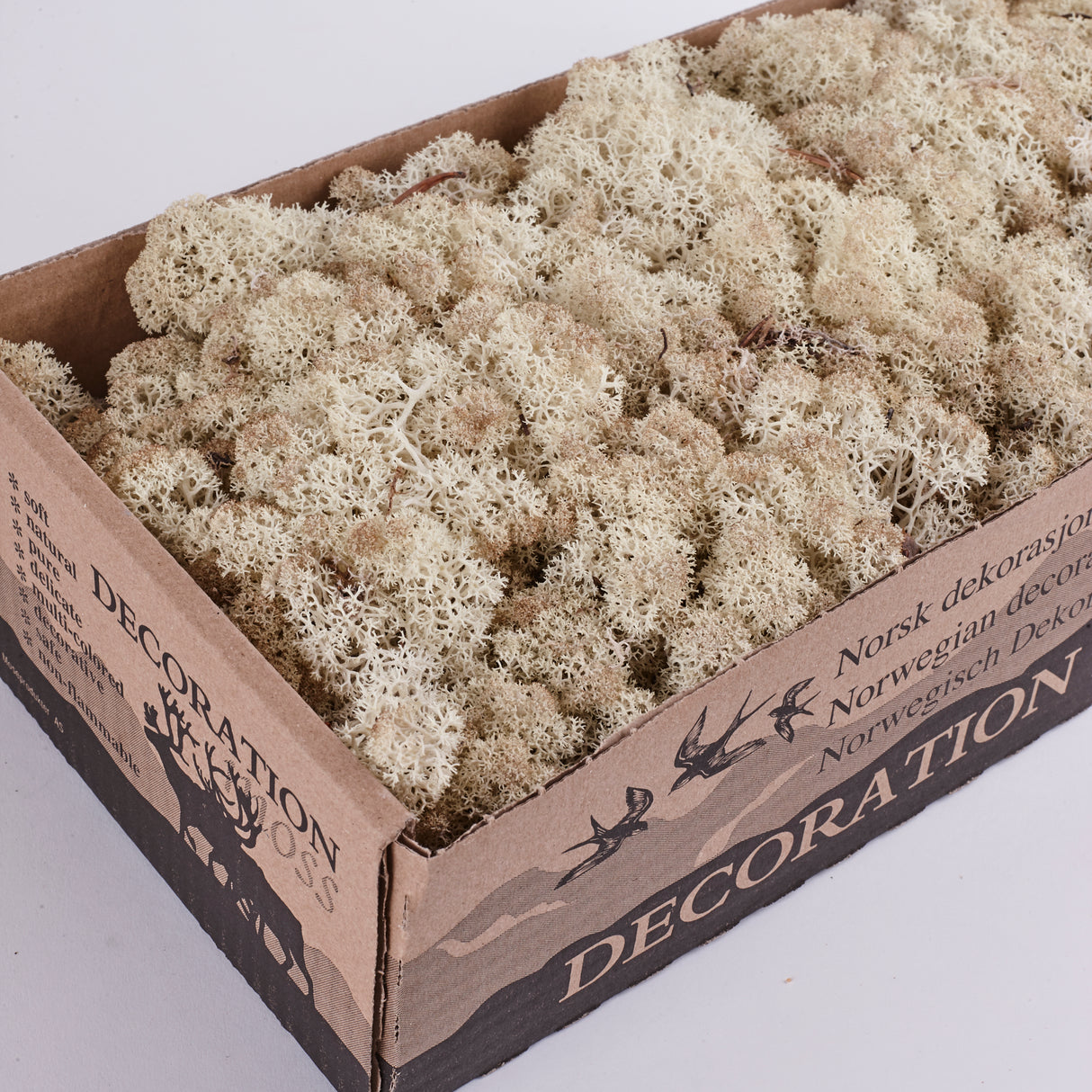 Icelandic (Reindeer) Moss, Preserved, Misty White, 425g