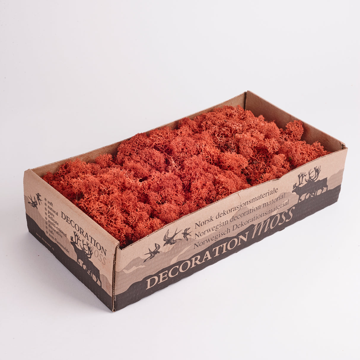 Icelandic (Reindeer) Moss, Preserved, Sienna, 425g