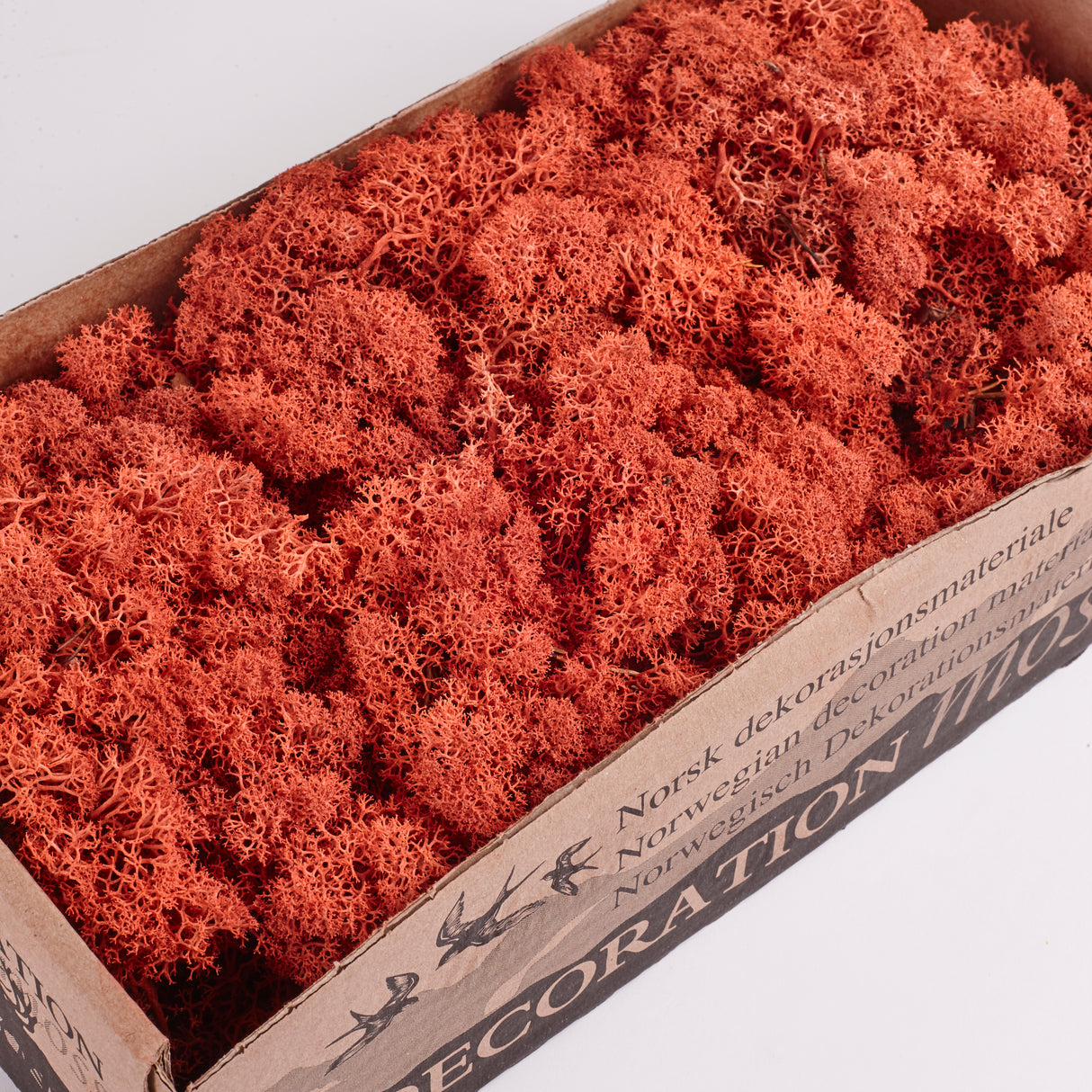 Icelandic (Reindeer) Moss, Preserved, Sienna, 425g