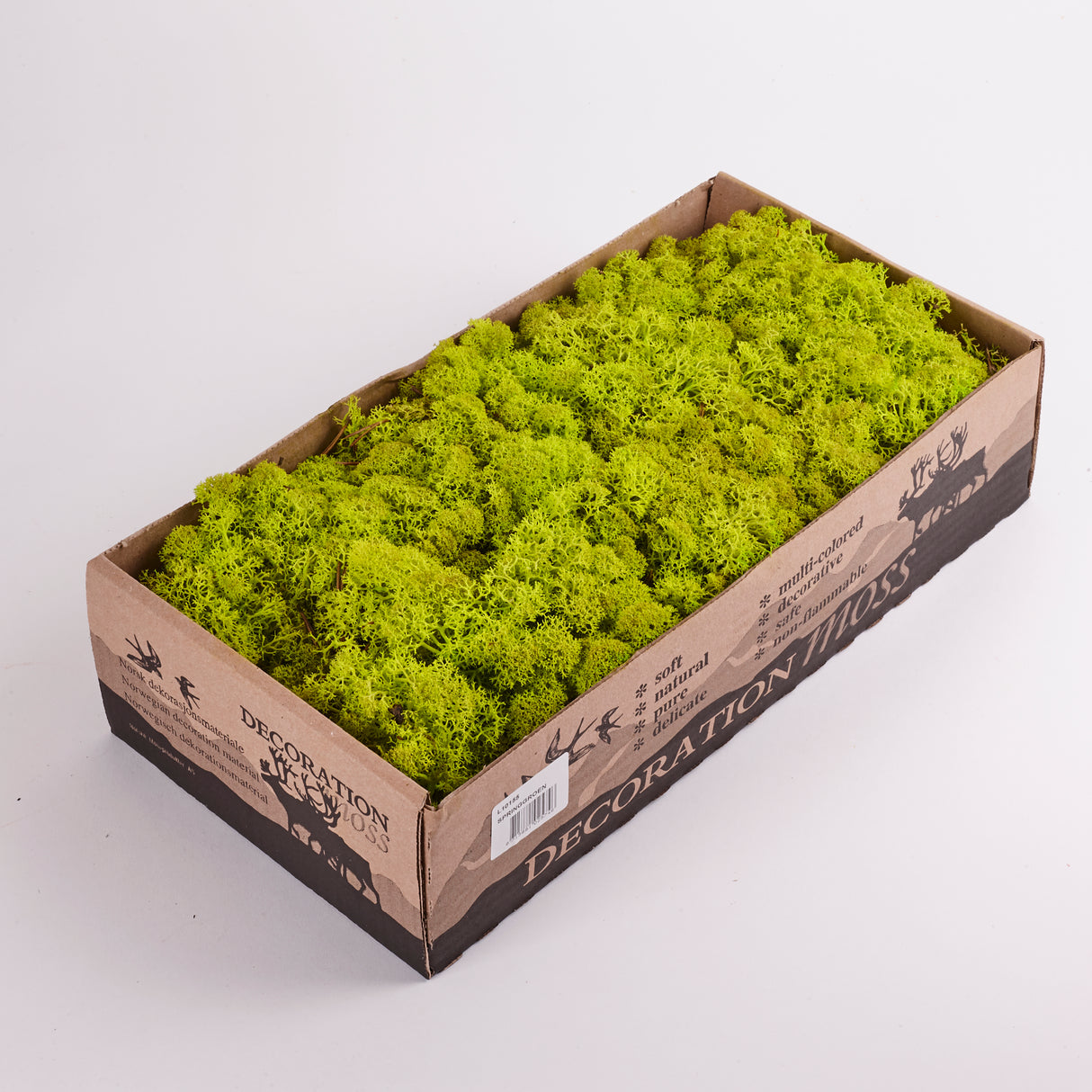 Icelandic (Reindeer) Moss, Preserved, Spring Green, 425g