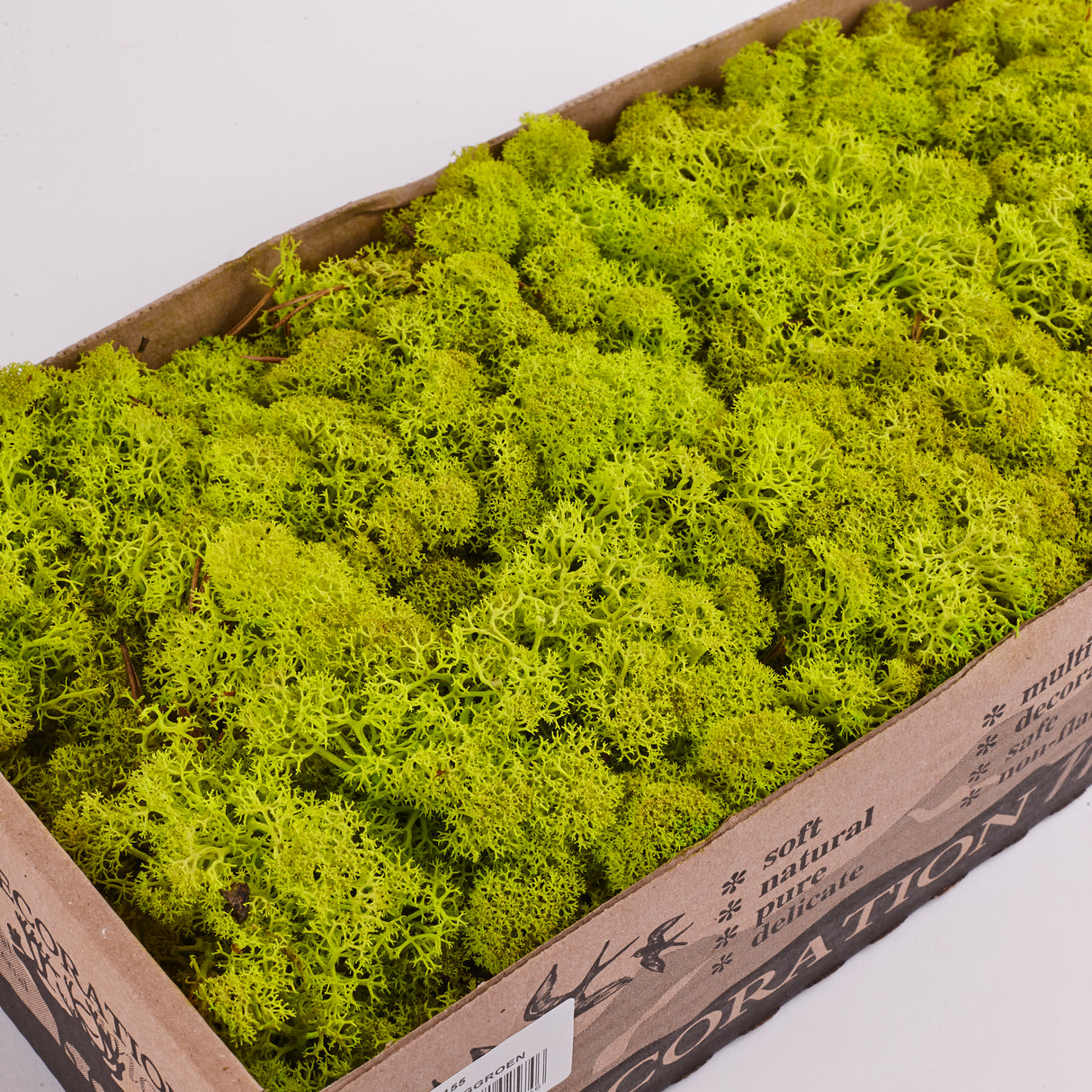 Icelandic (Reindeer) Moss, Preserved, Spring Green, 425g