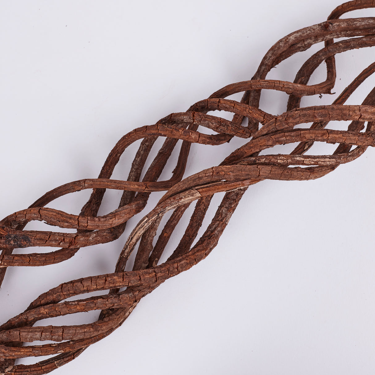 Liana (Jungle Wood), Natural, Bunch x 8 pcs, 50cm