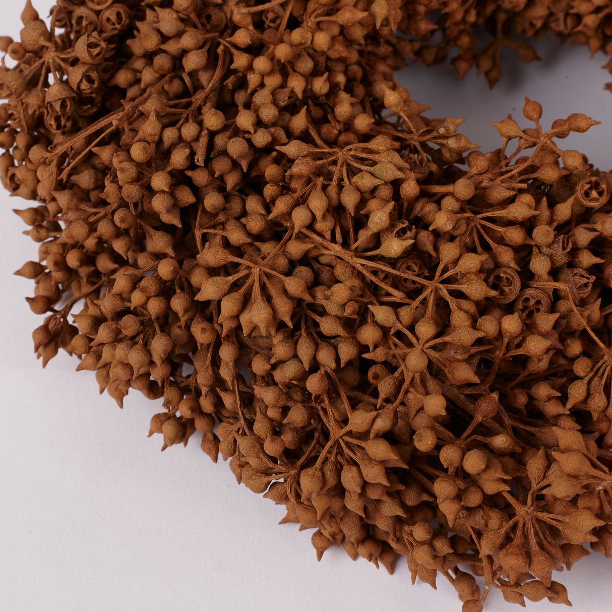 Exotica Wreath, Rusty, 20cm Diameter