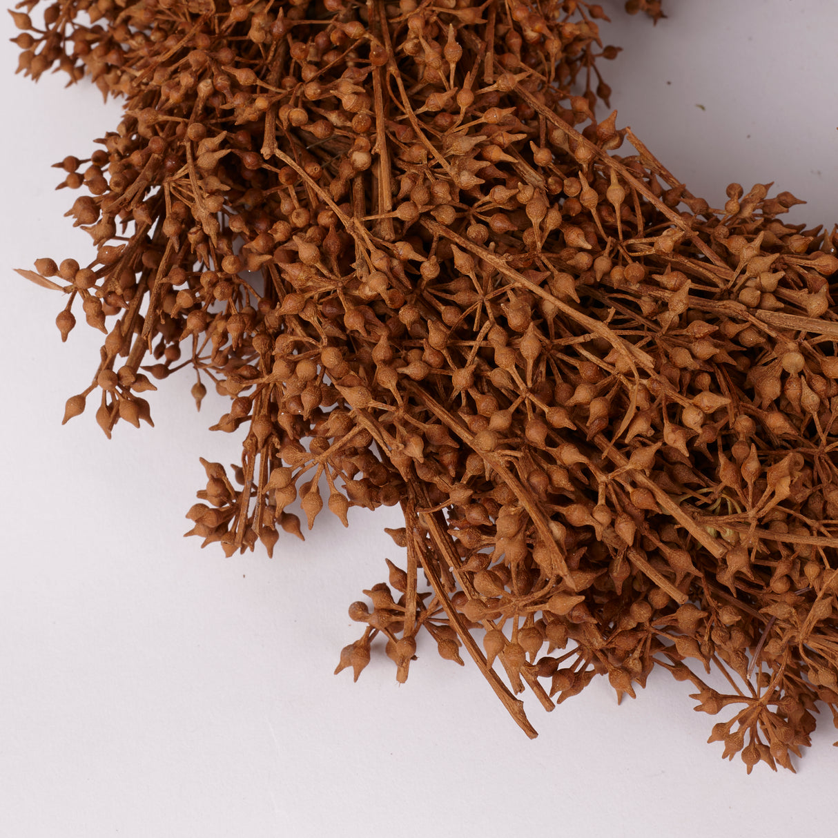 Exotica Wreath, Rusty, 25cm Diameter