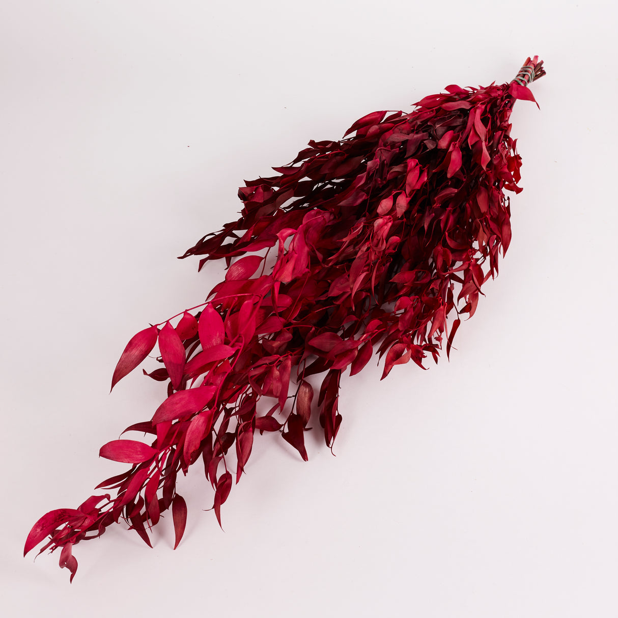 Ruscus, Soft, Cyclamen, 100g Bunch