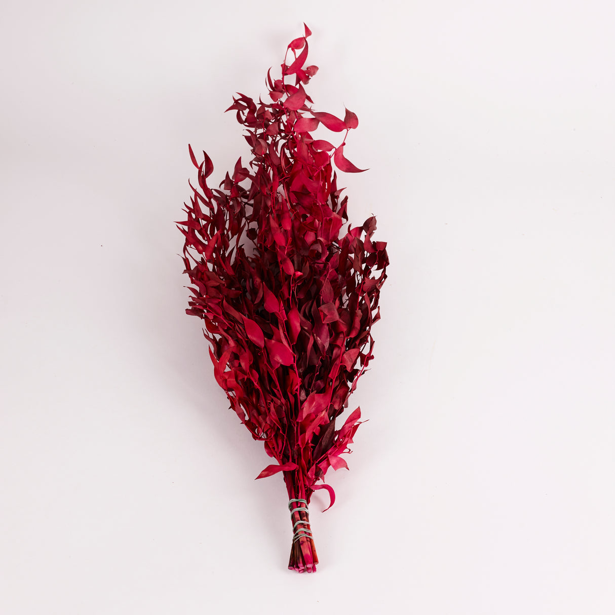 Ruscus, Soft, Cyclamen, 100g Bunch