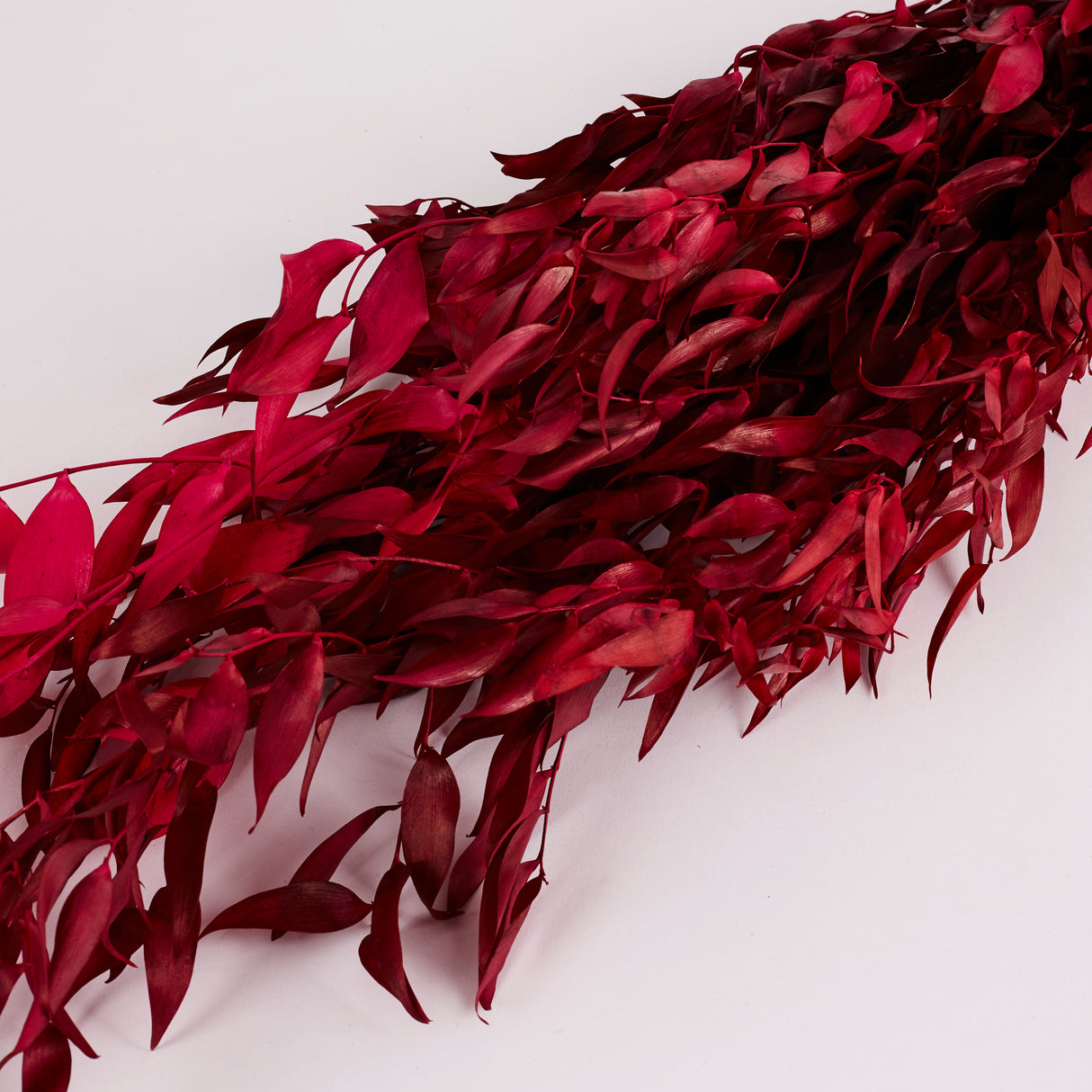 Ruscus, Soft, Cyclamen, 100g Bunch