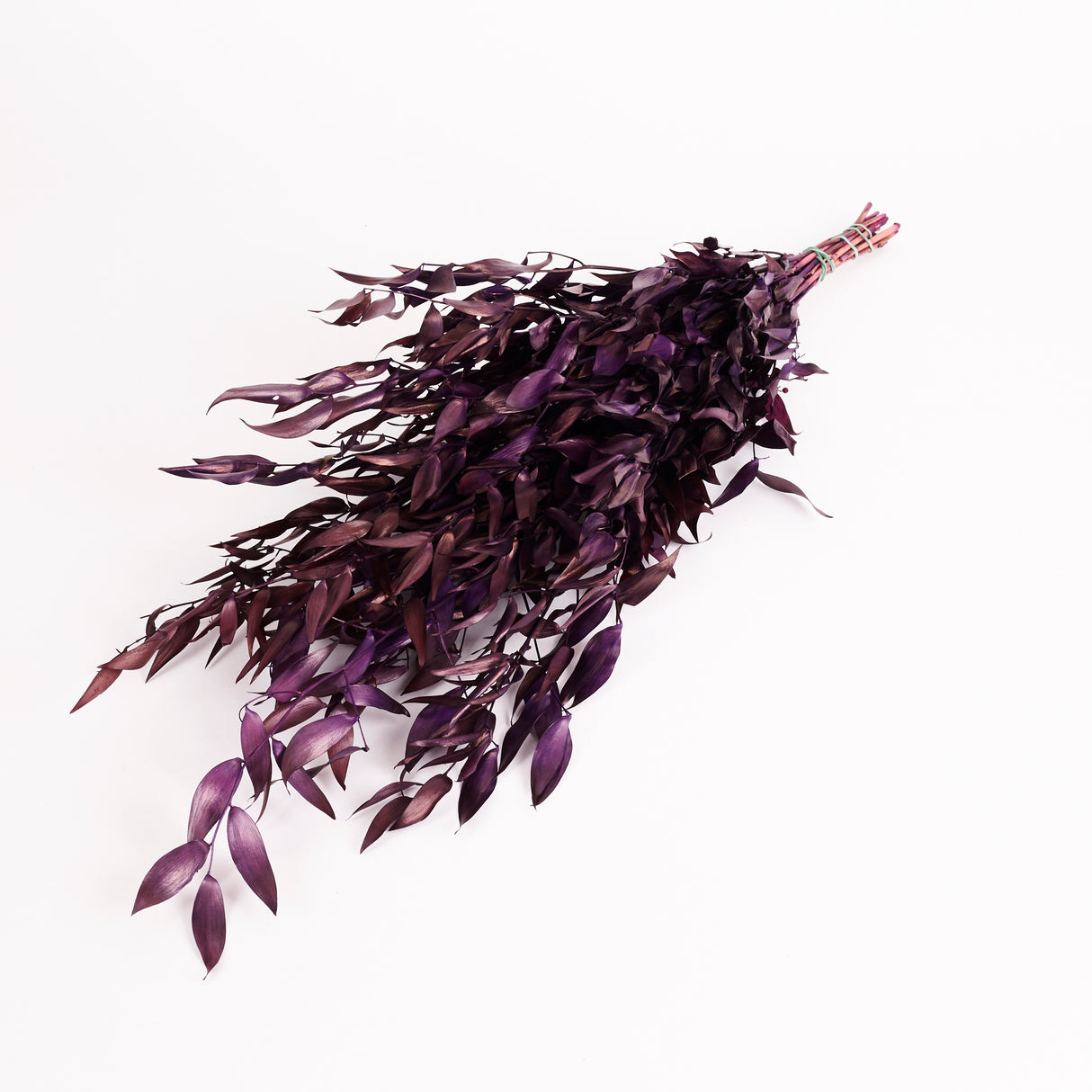 Ruscus, Soft, Milka, 100g Bunch