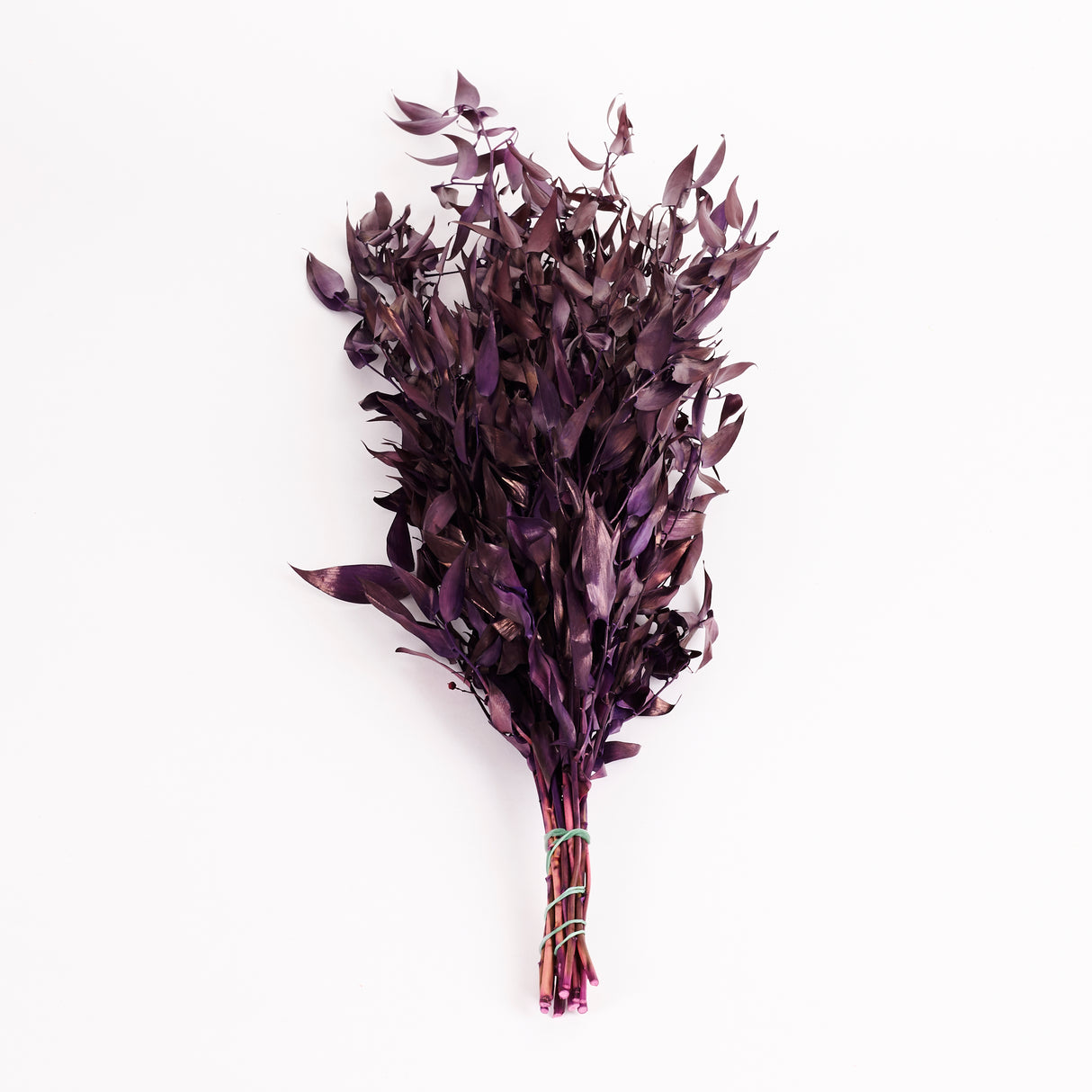 Ruscus, Soft, Milka, 100g Bunch