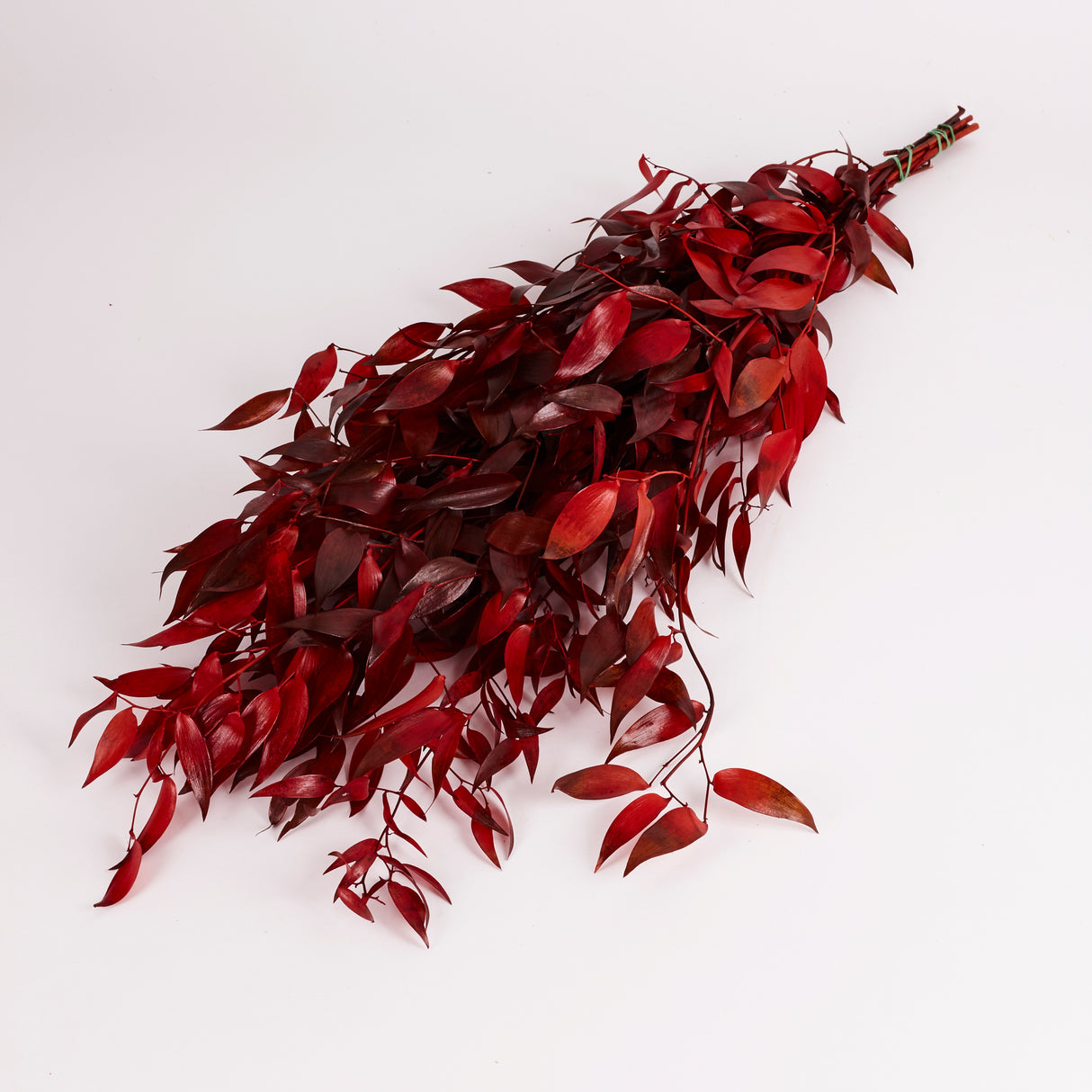 Ruscus, Soft, Red, 100g Bunch