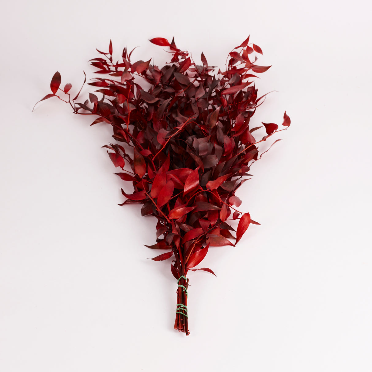 Ruscus, Soft, Red, 100g Bunch