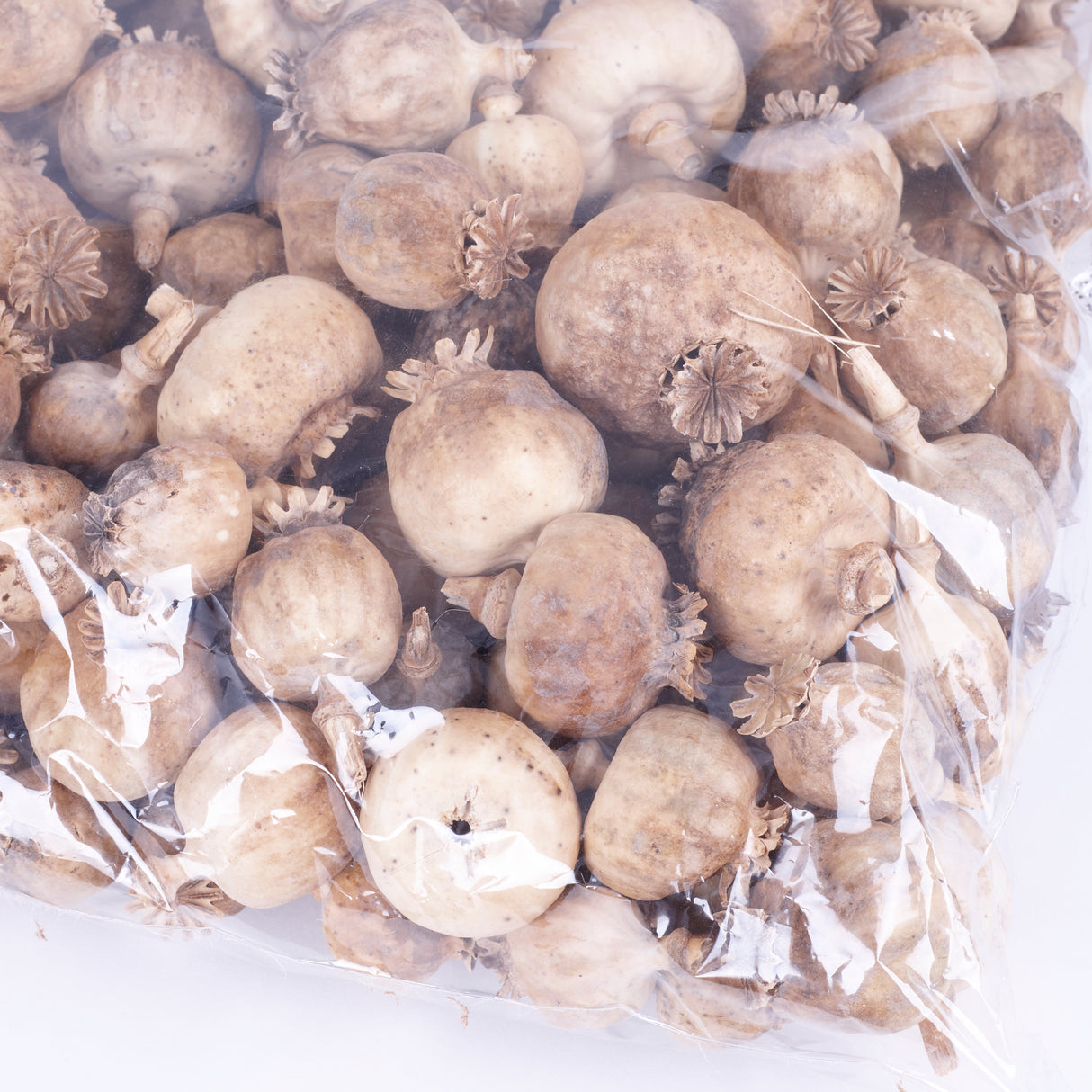 Poppy Seed Pods, (Papaver), Dried, Natural x 1.5kg