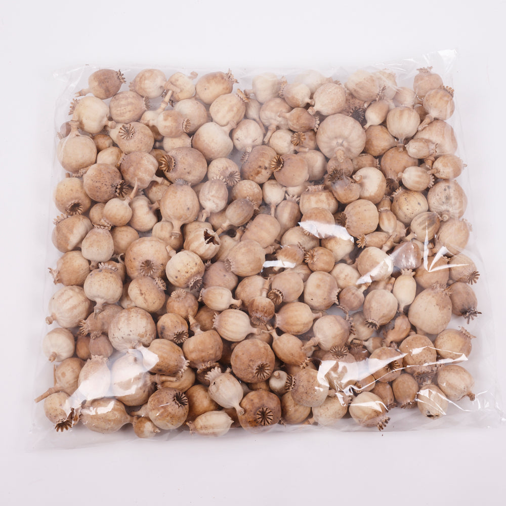 Poppy Seed Pods, (Papaver) - Premium Quality, Dried, Natural x 900g