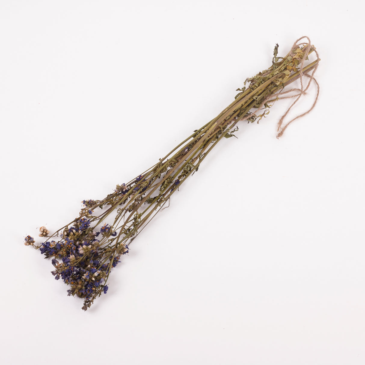 Jacobs Ladder (Polemoniuim), British, Dried, Natural, 60cm Bunch 10 stems