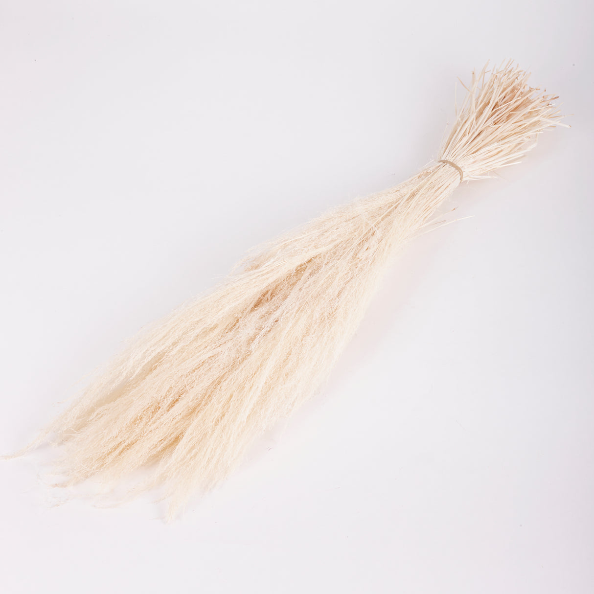 Agrostis (Bent Grass), Dried, White, 50g Bunch