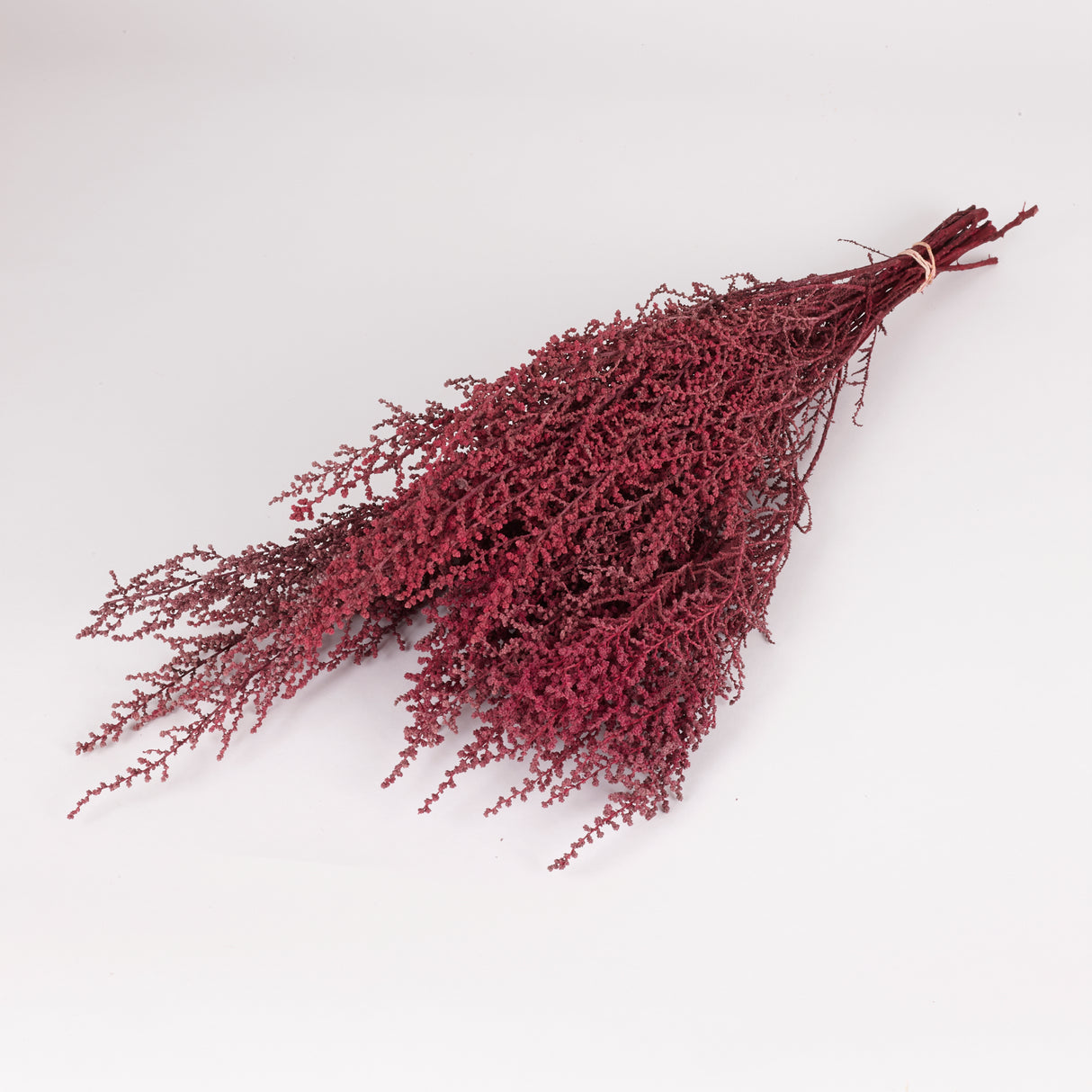 Stoebe, Preserved, Byzantium, Bunch