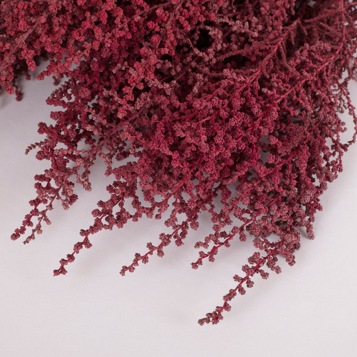 Stoebe, Preserved, Byzantium, Bunch