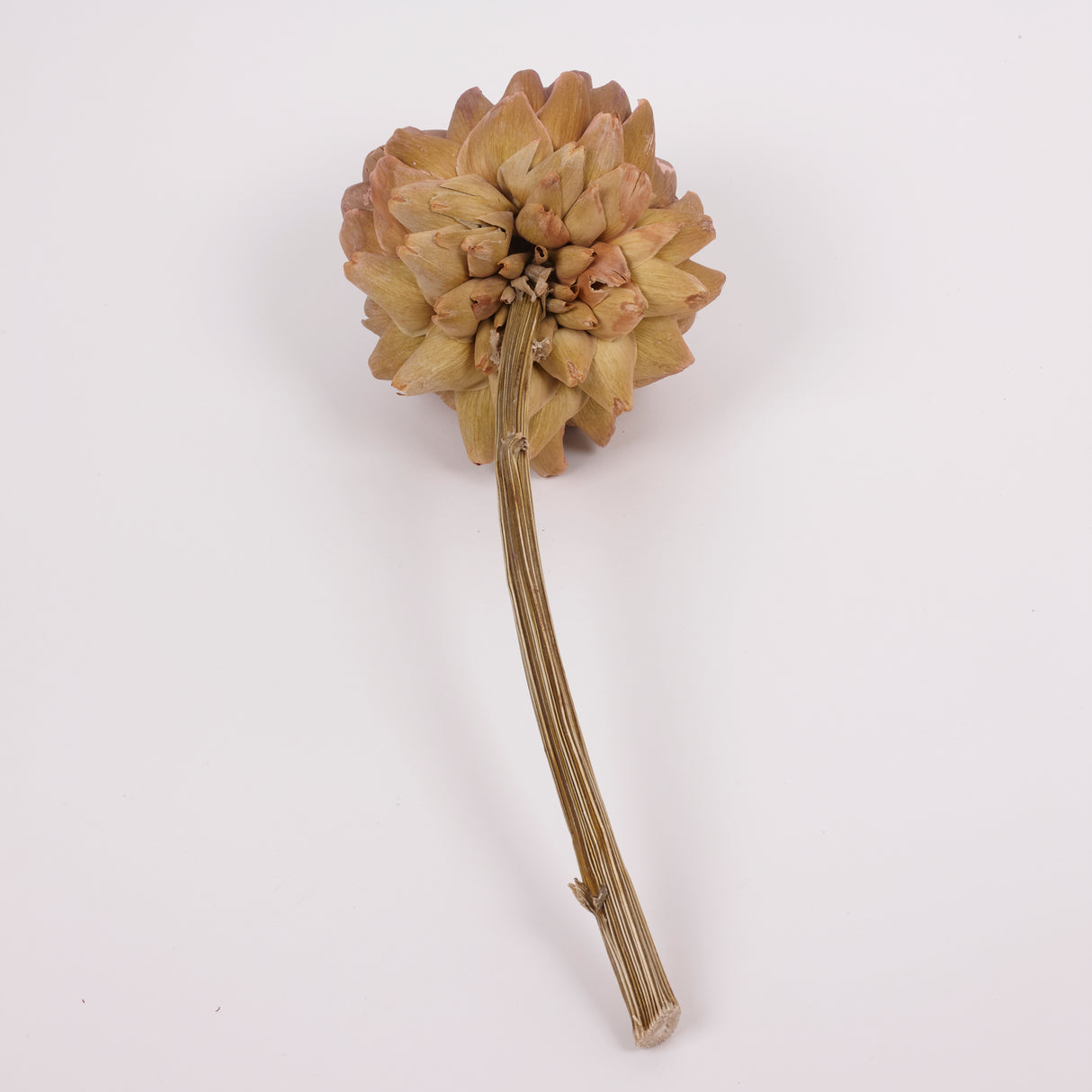 Artichoke, Large, Natural, Per Stem