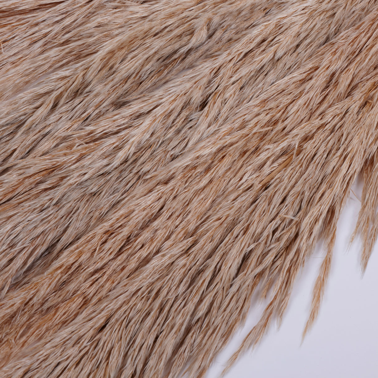 Pampas Grass, Preserved, Toasted, Bunch