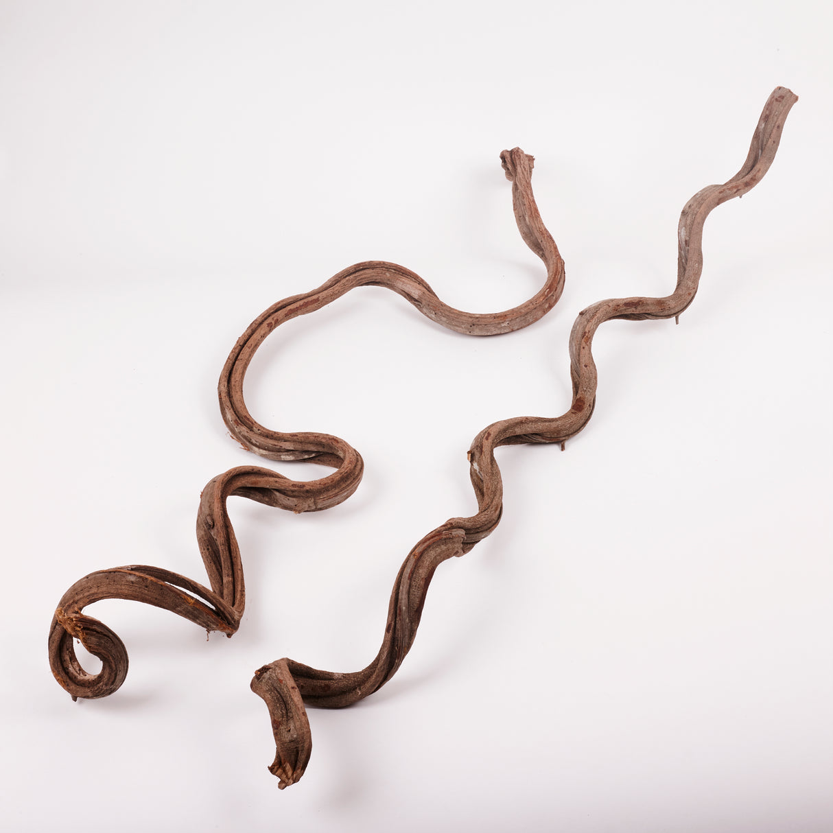 Liana (Jungle Wood), Natural, 2-3cm diam, 100cm
