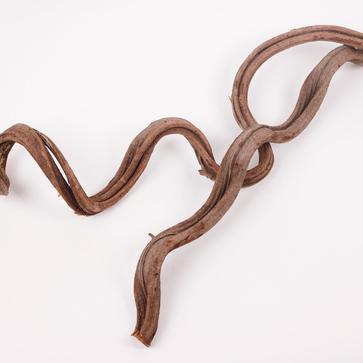 Liana (Jungle Wood), Natural, 2-3cm diam, 100cm