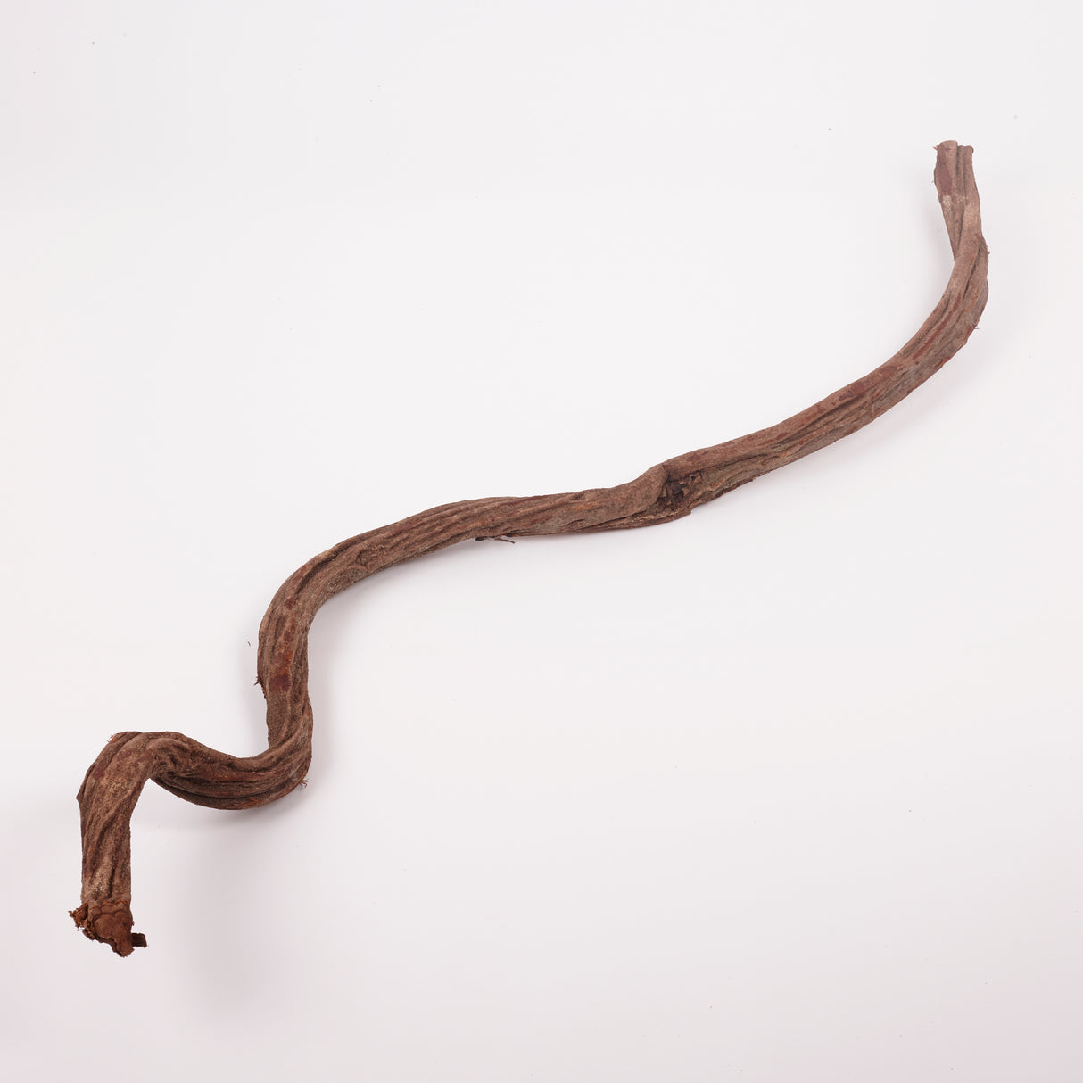 Liana (Jungle Wood), Natural, 4-5cm diam, 100cm