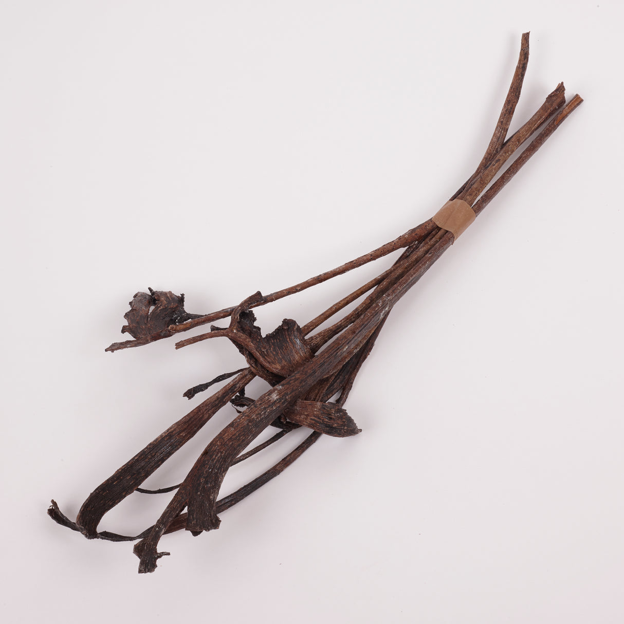 Natraj (Anter Wood), Lacquered, Medium, Bunch x 5