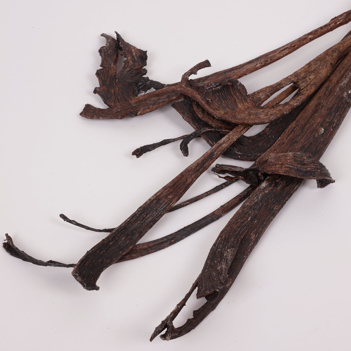 Natraj (Anter Wood), Lacquered, Medium, Bunch x 5