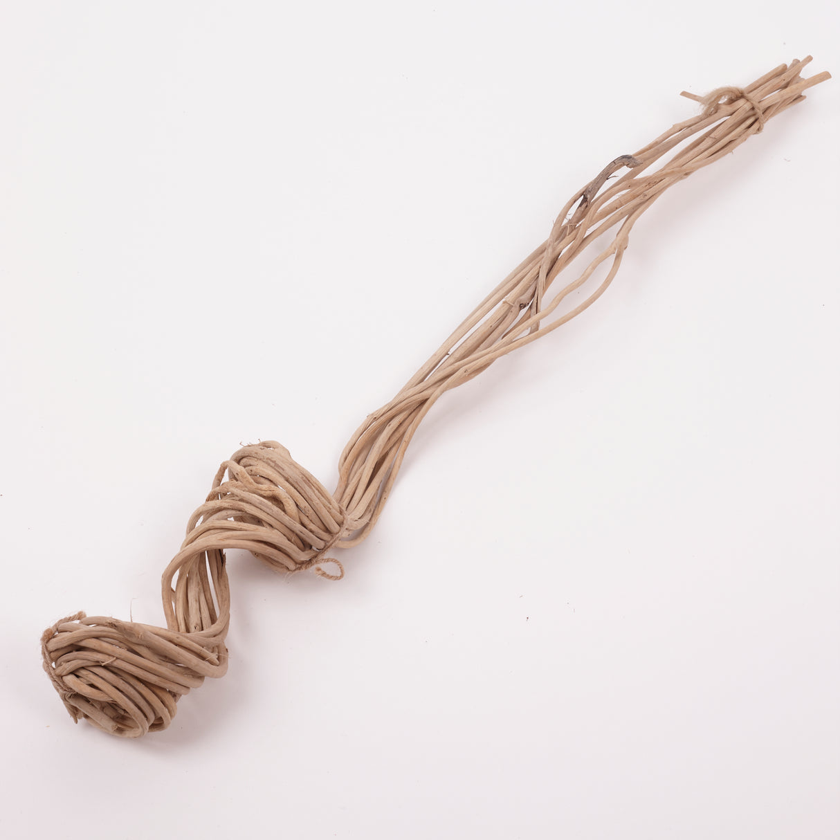 Panchu Spring, Dried, Natural, 10 Stem Bunch