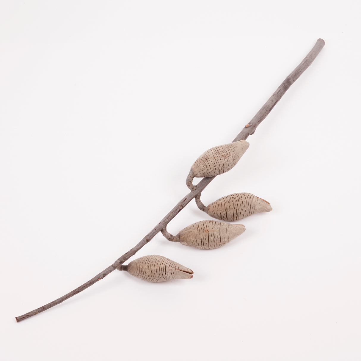 Woody Pear, Natural and Dried, Per Stem