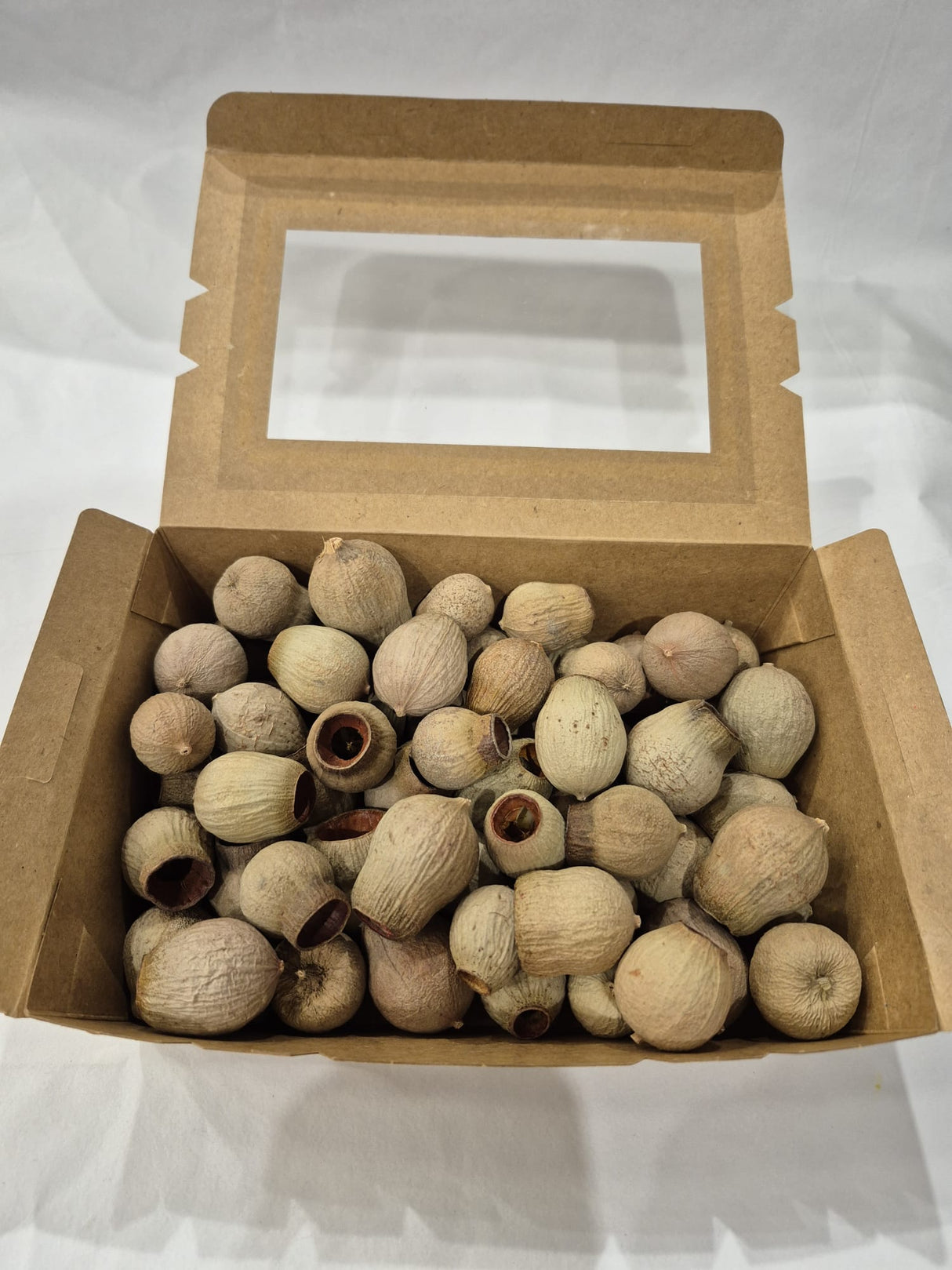 Eucalyptus Bell Gum Nuts, Loose x 300g