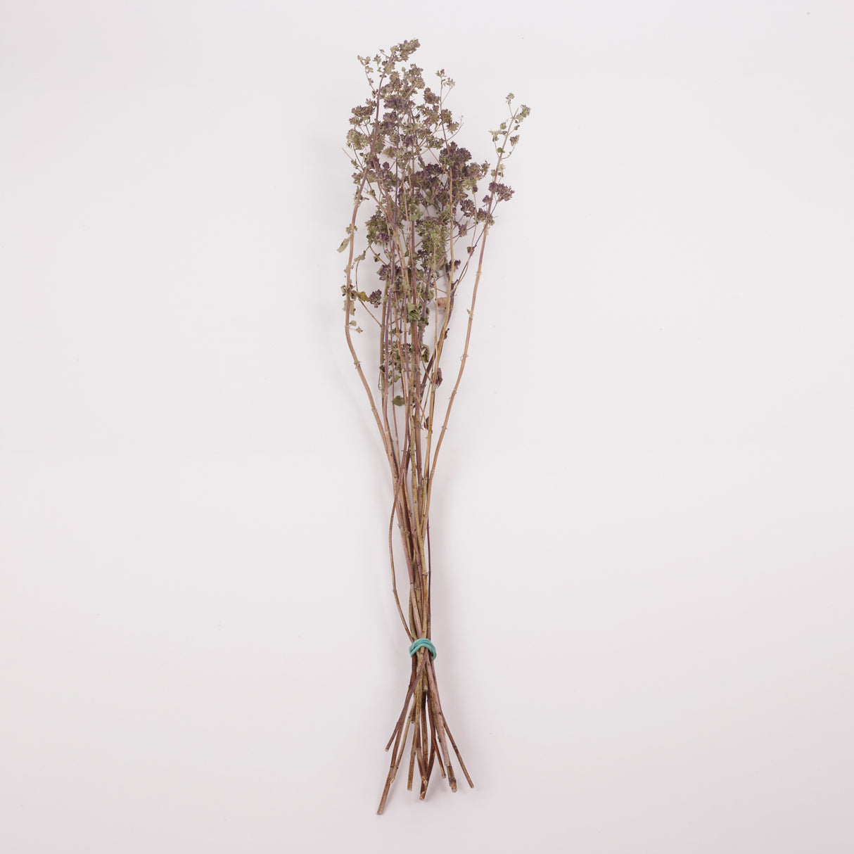 Oregano Flowers, British, Organic, Natural and Dried, Bunch