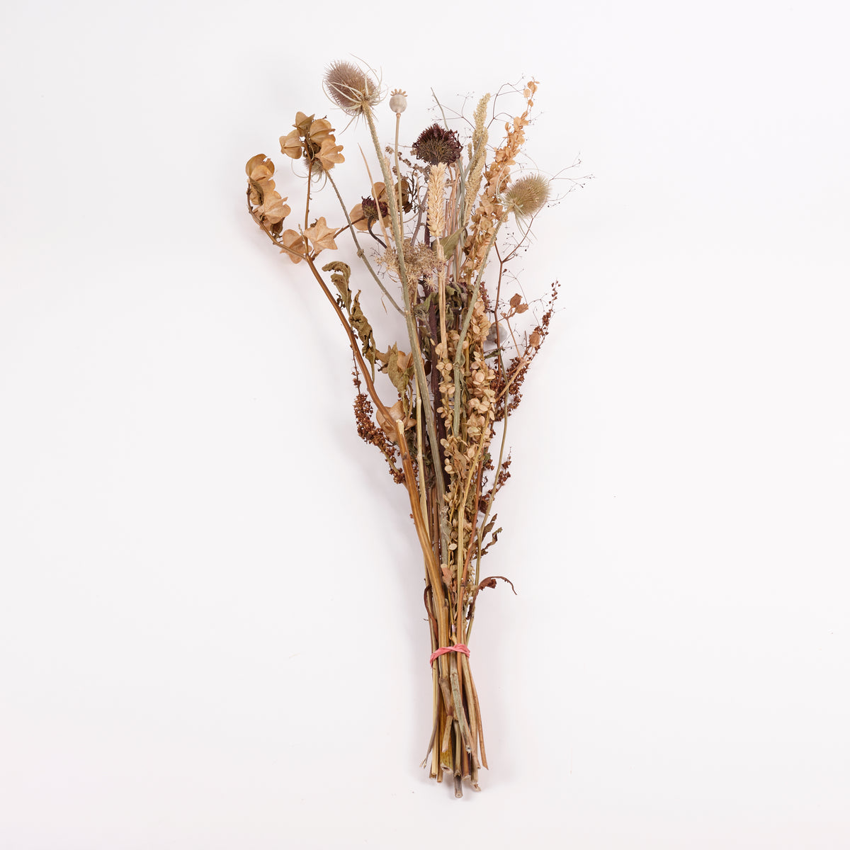 Autumn Mixed Bunch, British, Natural & Dried